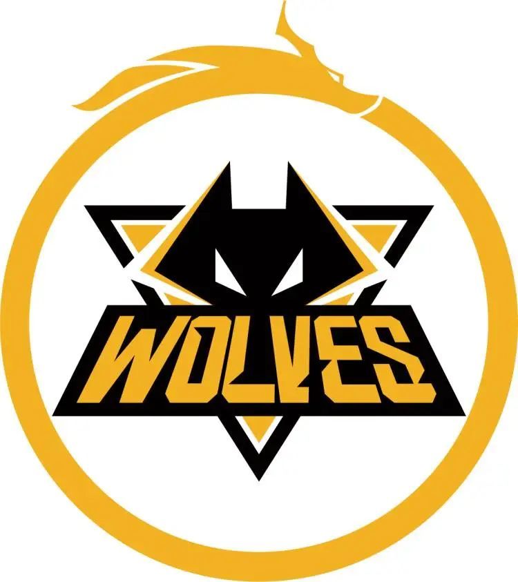 Vitality 晋级 ESL Pro League 第21赛季半决赛